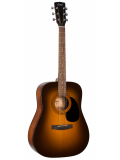 AD810 (Satin Sunburst), зображення 1
